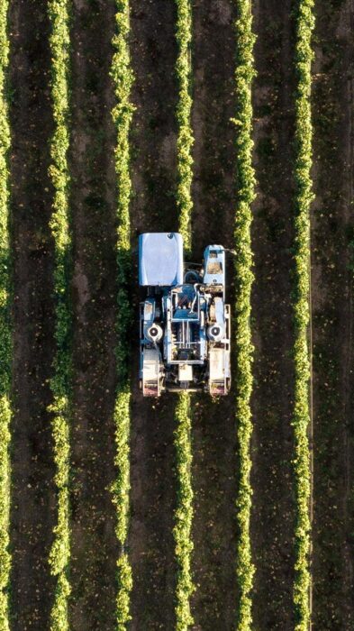 EUDR e non solo: come cambia la tracciabilità delle filiere agroindustriali nel 2026