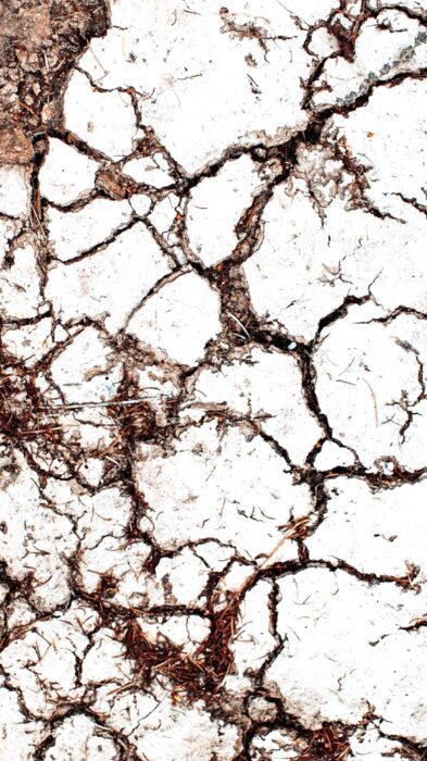Caldo record e città roventi: il rapporto che punta il dito contro il suolo degradato