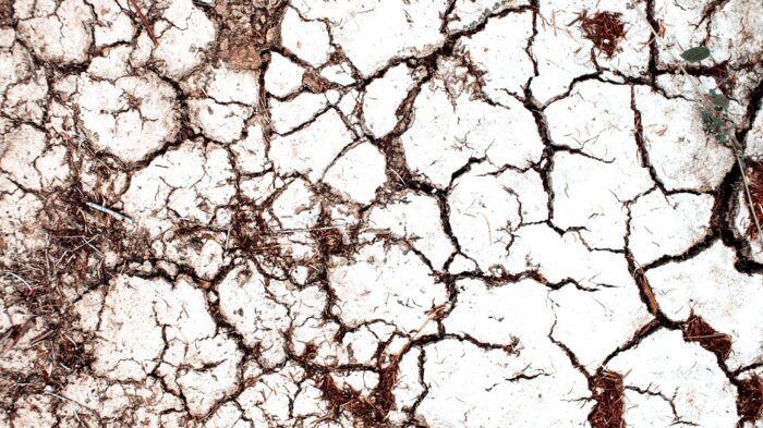 Caldo record e città roventi: il rapporto che punta il dito contro il suolo degradato